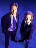 The X Files The X Files