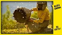 Başka Sinema'da Bu Hafta: "Honeyland", "I Lost My Body"... Başka Sinema'da Bu Hafta: "Honeyland", "I Lost My Body"...