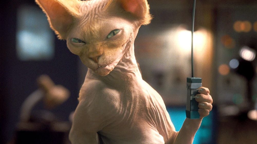 Unlu Kediler Kediler Ve Kopekler Kitty Galore Un Intikami Beyaz Perdenin Unlu Kedilerini Barindiran 25 Film Foto Galerileri Beyazperde